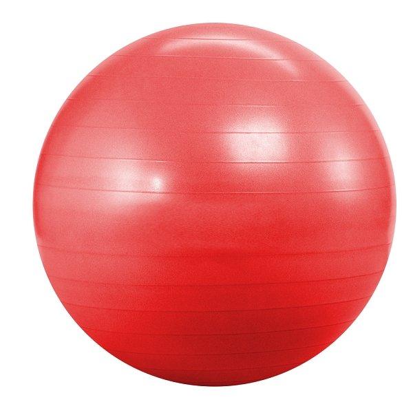 Фитболл Landfit Fitness Ball 55cm (с насосом)