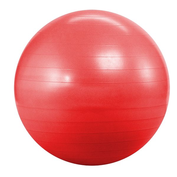 Мяч для фитнеса (фитбол) 55 см Landfit Fitness Ball с насосом 
