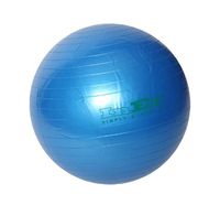 Мяч гимнастический INEX Swiss Ball 75 см
