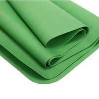Каучуковый коврик для йоги Bodhi EcoPro Travel Зеленый