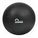 Мяч для фитнеса (фитбол) Majestic Sport 65 см Anti-Burst GVP5028/K