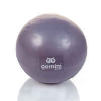 Мяч для пилатеса и йоги Pilates ball Mini Gemini 25 cm Серый PG-025GRAY